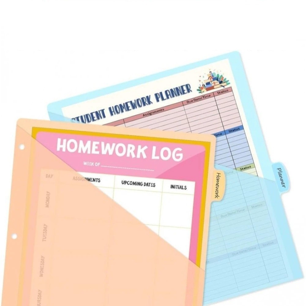 8 pcs A4 Pastel Binder Divider - Tab Divider A4 review and price